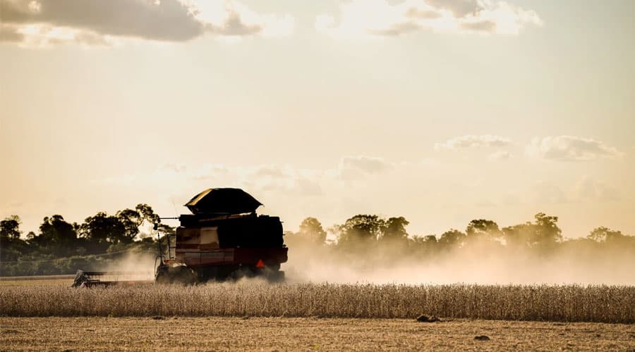 As 100 maiores empresas do agronegócio brasileiro em 2020