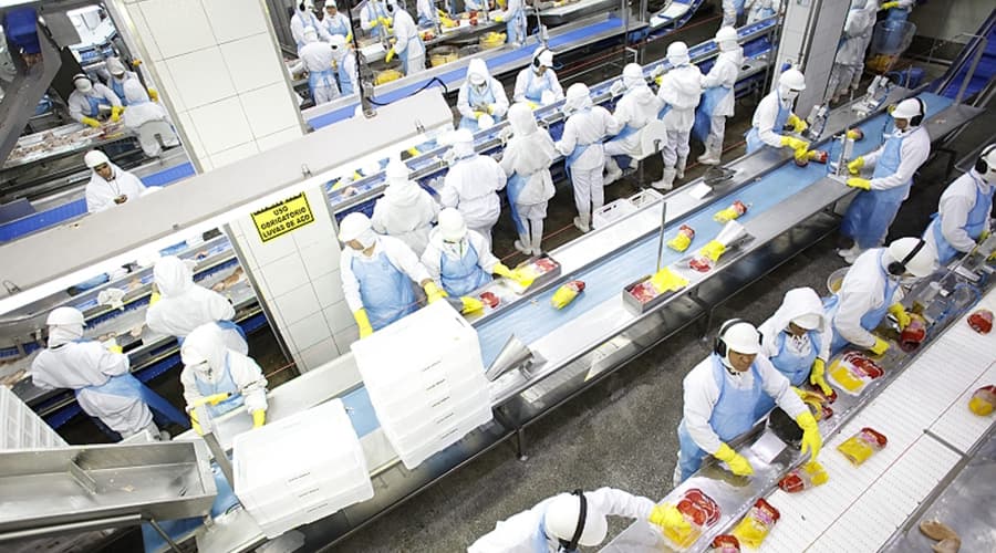 São Salvador Alimentos cresce 35% em 2019