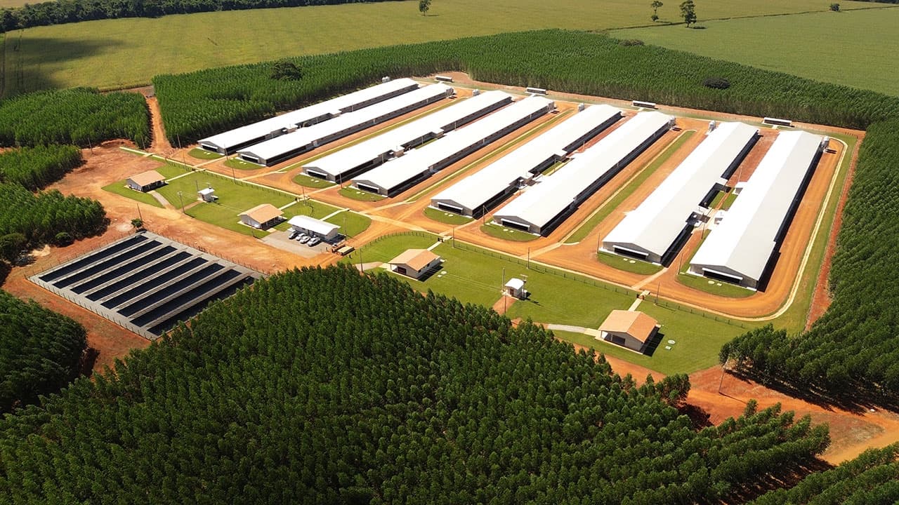 Biodiversidade