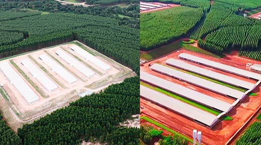 2016 - A SSA amplia ainda mais sua estrutura com a inauguração da unidade de Produção de Ovos Férteis e da nova Matriz de Recria!